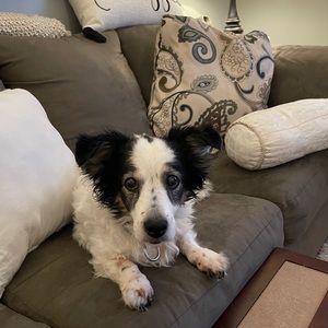 Meet your Posher, Robyn